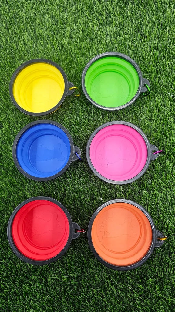 Plato De Silicon Plegable Pequeño Con Llavero Colores Variados