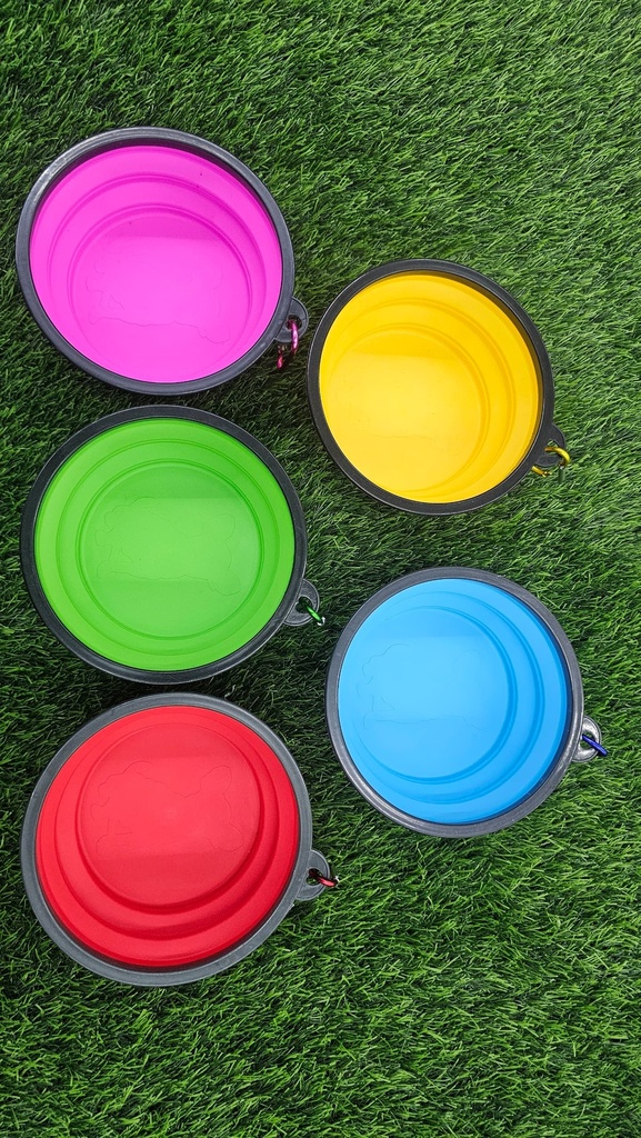 Plato De Silicon Plegable Mediano con Llavero Colores Variados