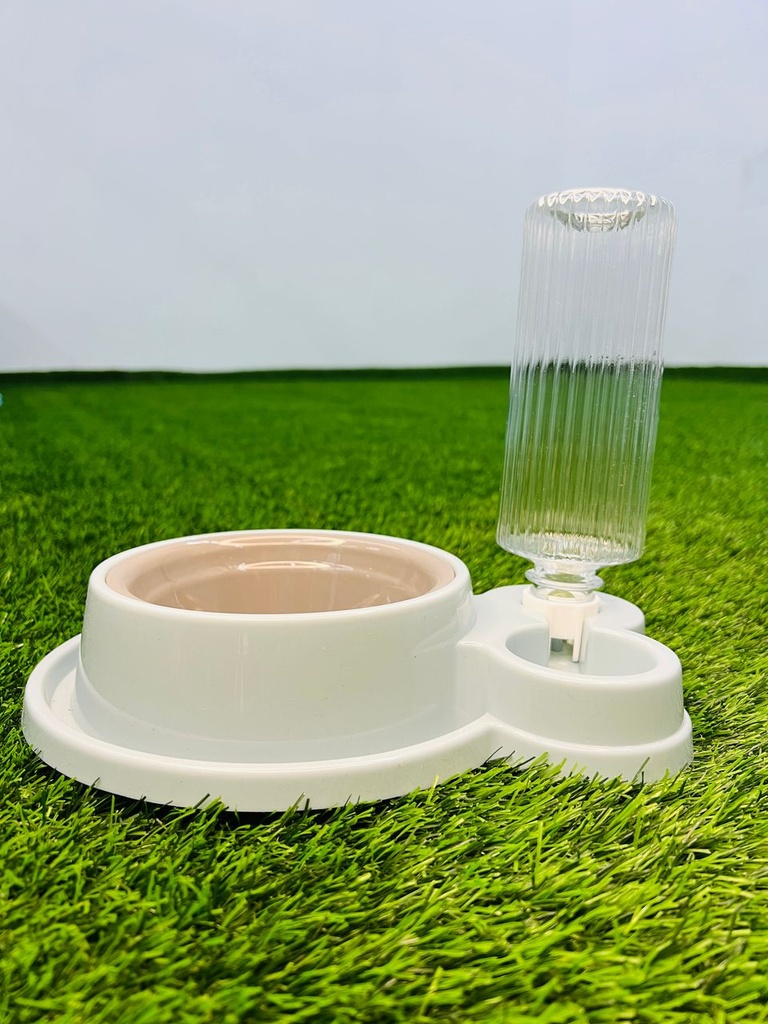 Plato De Comida Con Bebedero Pequeño De Colores Variados