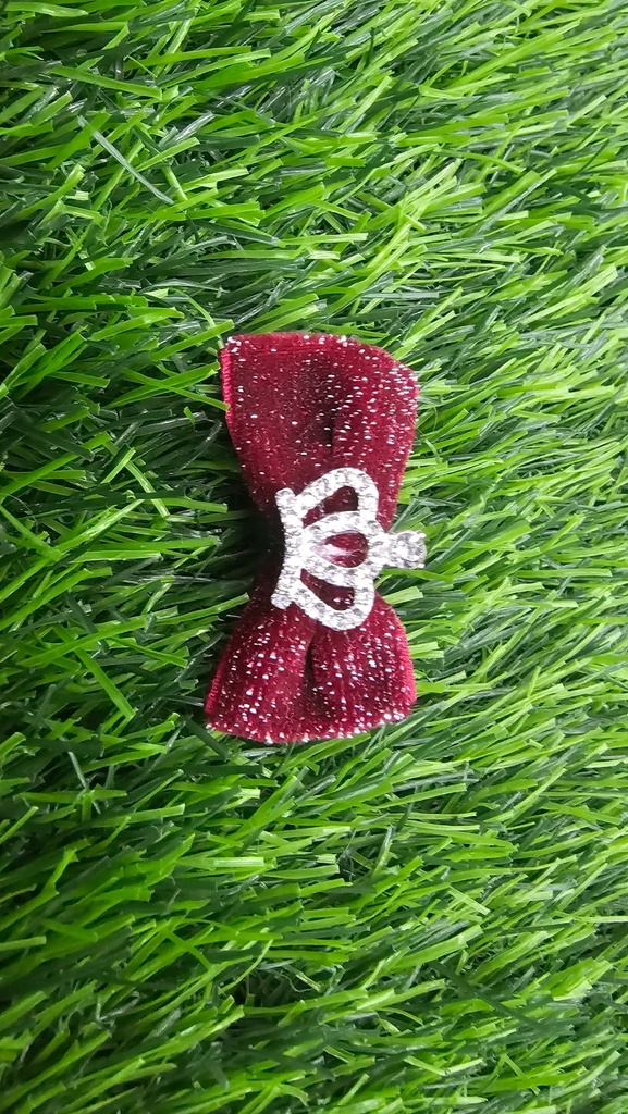 Lazo Con Aplicacion De Cristal Para Perro