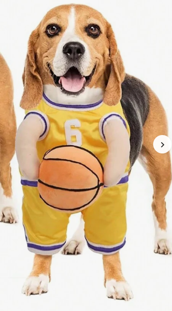Disfraz De Basquetbolista Amarillo Para Mascotas Talla S