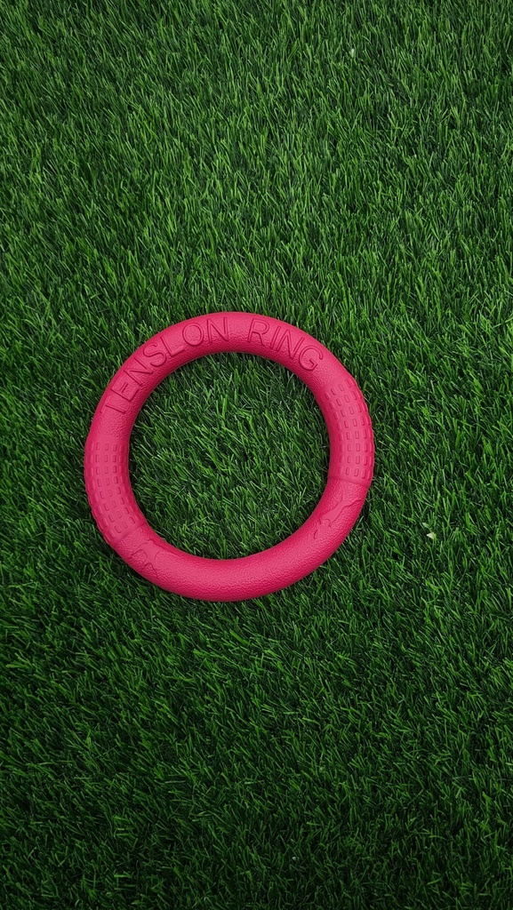 Anillo De Juguetes Para Perro Rojo
