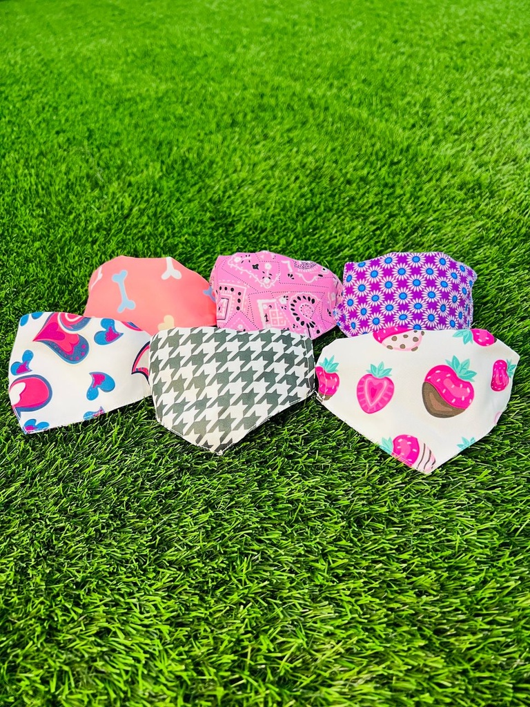 Pañoleta Con Collar Ajustable Talla S Diseños Variados