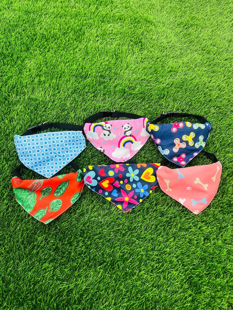 Pañoleta Con Collar Ajustable Talla L Diseños Variados