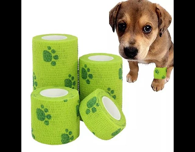 Vendas Para Mascotas Con Motivo De Huellitas