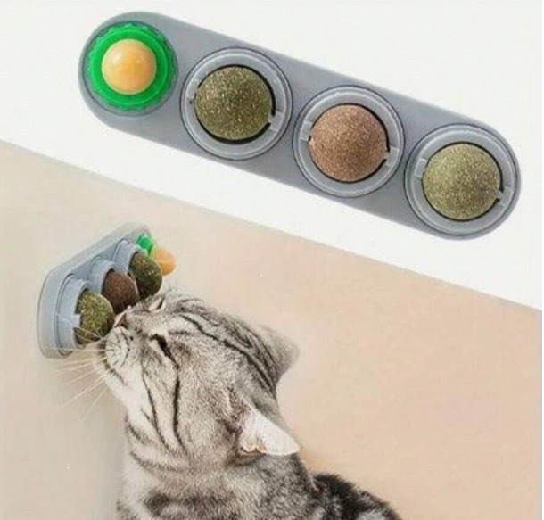 SET DE 4 HIERBAS GATERA SILVERVINE