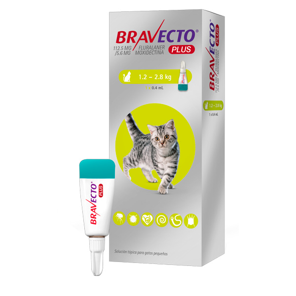 Bravecto Plus Gatos 1,2 - 2,8kg