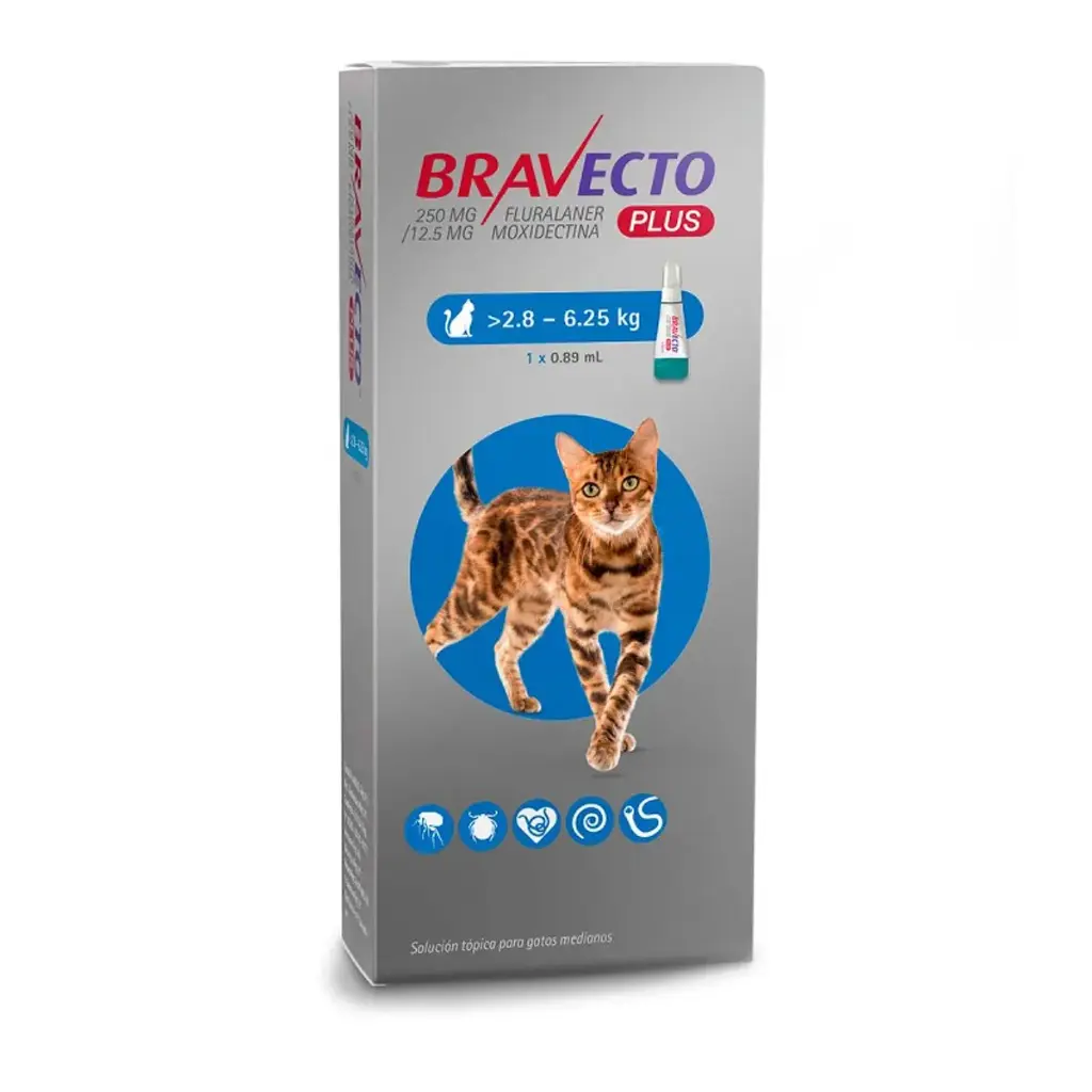 Bravecto Plus Gatos 2,8 - 6,25kg