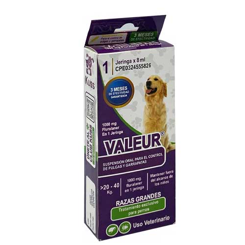 Kuss Valeur 20 - 40kg