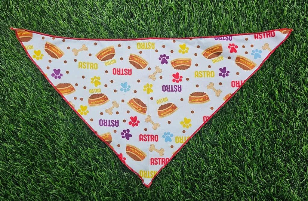 Bandana Triangular Talla M Para Mascotas Sweet Print