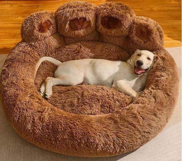 CAMA PARA PERROS Y GATOS CON FORMA DE PATA SIZE XL COLOR CAFÉ