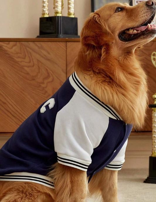 CARDIGAN CAZADORA PARA MASCOTA TALLAS VARIAS (S HASTA LA 3XL)