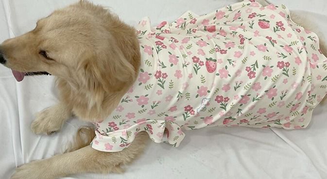 VESTIDO FLORAL GRANDE PARA PERROS XL