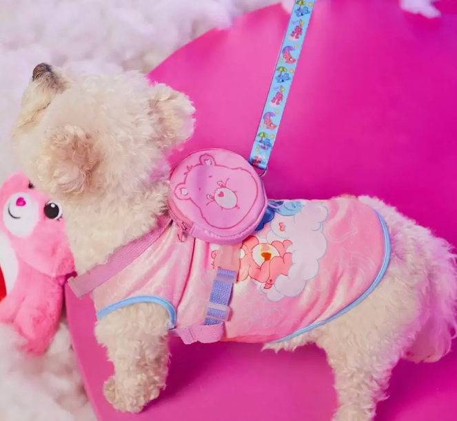 SET DE ARNES PARA PECHO Y CORREA ESTAMPADA CON DISEÑO CARE BEARS