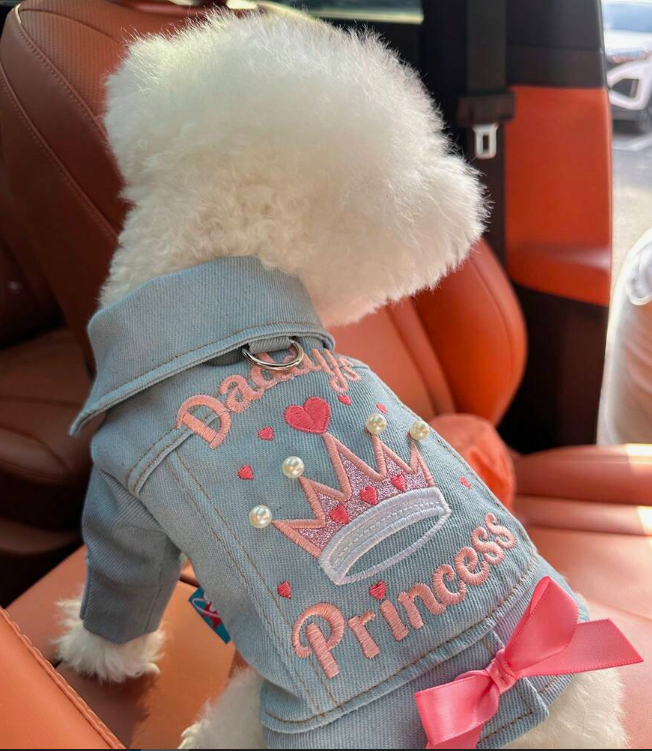 CHAQUETA DE PRINCESA PARA PERROS PEQUEÑOS TALLAS VARIAS DESDE LA S HASTA LA XL