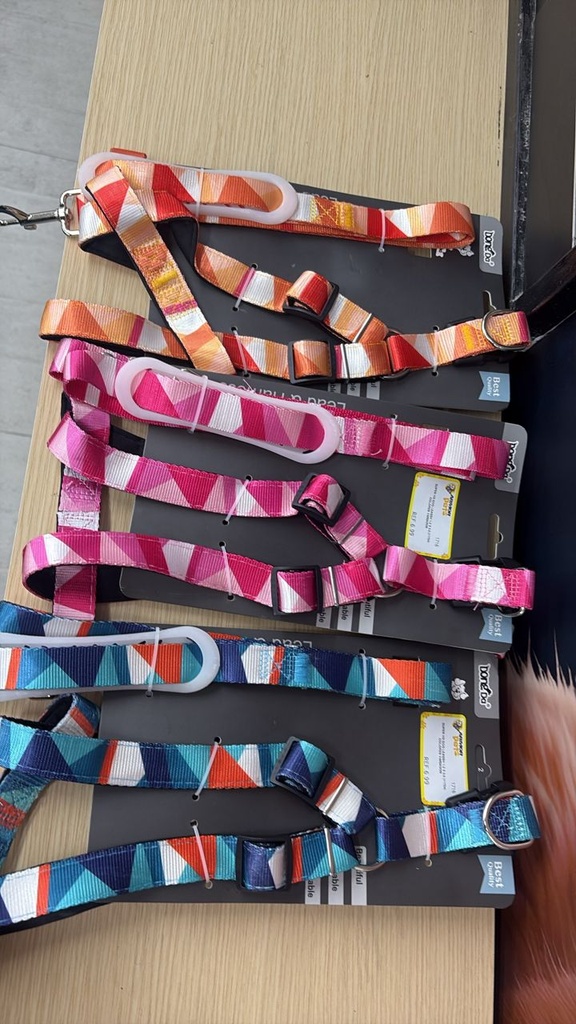 SUPER HD DOG LEASSH 1.2 X 2.5 (11754) COLORES VARIADOS