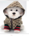CHAQUETA PARA MASCOTAS PARA INVIERNO DELUXE COLOR MARRON TALLA XS