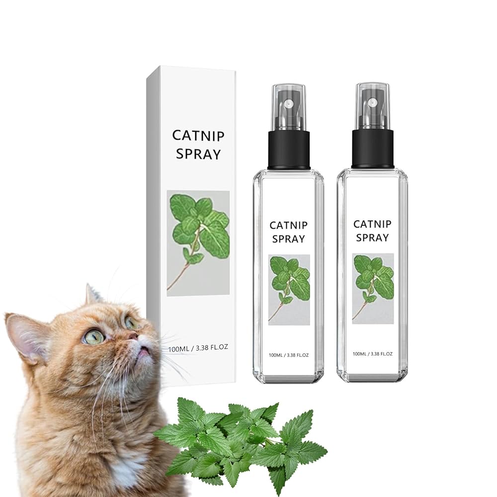 CATNIP SPRAY DE HIERBA GATERA PARA GATOS 100ML