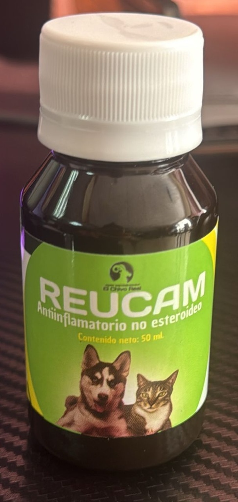 ANTINFLAMATORIO CHIVO REUCAM JARABE 50ML