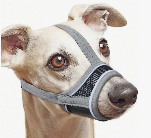 BOZAL PARA PERRO DE NAILON SUAVE REFLECTANTE CON BANDA REFORZADA COLORES Y TALLAS SURTIDAS