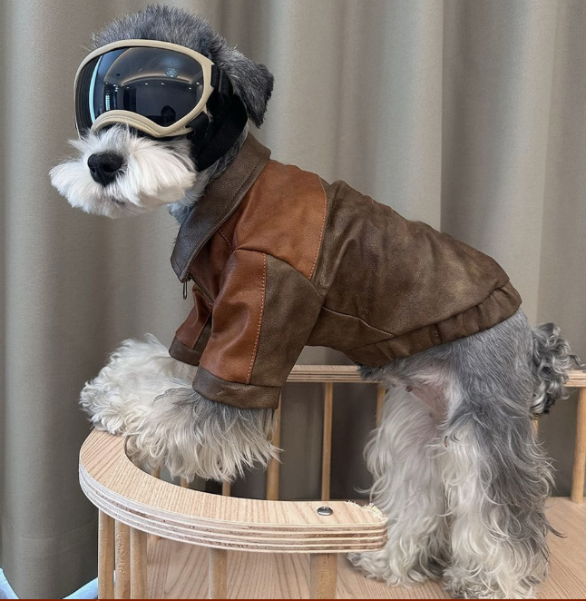 ROPA PARA MASCOTAS VINTAGE PARA OTOÑO E INVIERNO TALLAS VARIAS