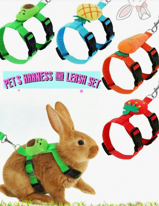 SET DE ARNES Y CORREAS AJUSTABLES PARA CONEJOS CON MOTIVOS DE FRUTAS
