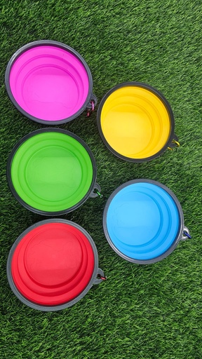 [031] Plato De Silicon Plegable Mediano con Llavero Colores Variados