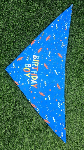 [1038] Bandana Cumpleañera Boy