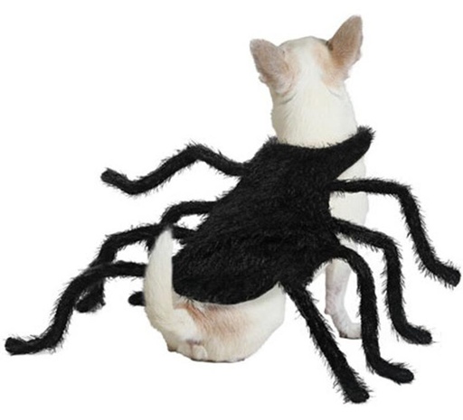 [1105] Disfraz De Tarantula Para Mascotas Talla S