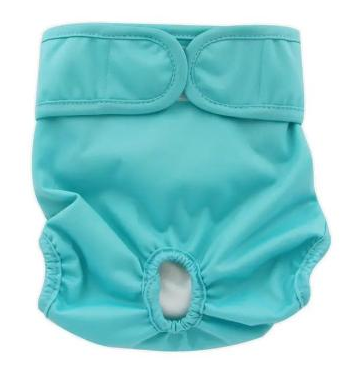 [1142] Pantys Labables Para Perro Con Faralao M Agua Marina