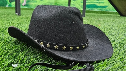 [1162] Sombrero Vaquero Para Mascotas Colores Varios