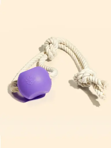 [1220] Punky Juguete Ball Rope