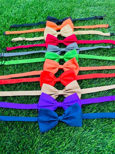 [166] Lazos De Seda Para Mascotas Colores Variados