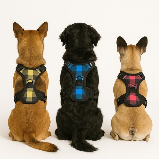 [172] Pechera Fancypet De Cuadros Colores Variados Talla M