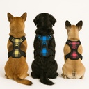 [173] Pechera Fancypet De Cuadros Colores Variados Talla L