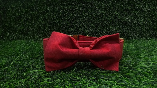 [637] Collar Con Lazo Para Mascotas Talla Xl