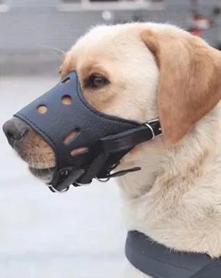 [932] Bozal Para Perro Anti-Ladrido Color Negro