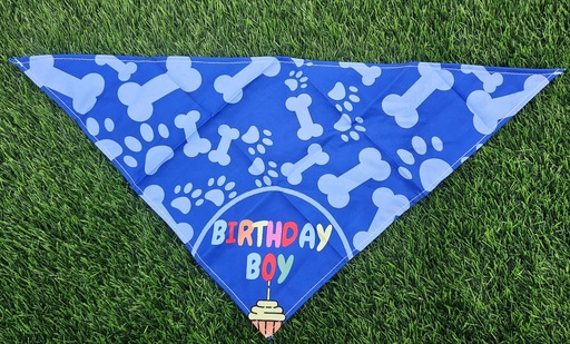 [995] Pañuelo Birthday Boy Tamaño Mediano Color Azul