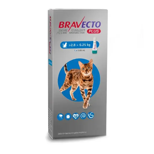 [23926] Bravecto Plus Gatos 2,8 - 6,25kg