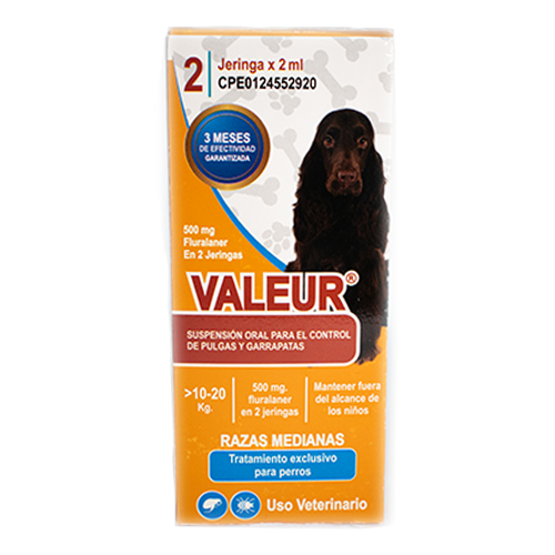 [23929] Kuss Valeur 10 - 20kg