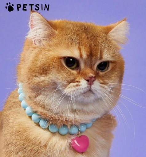 [1635] COLLAR CON DIJE DE CORAZON PARA MASCOTAS TALLA L COLOR AZUL