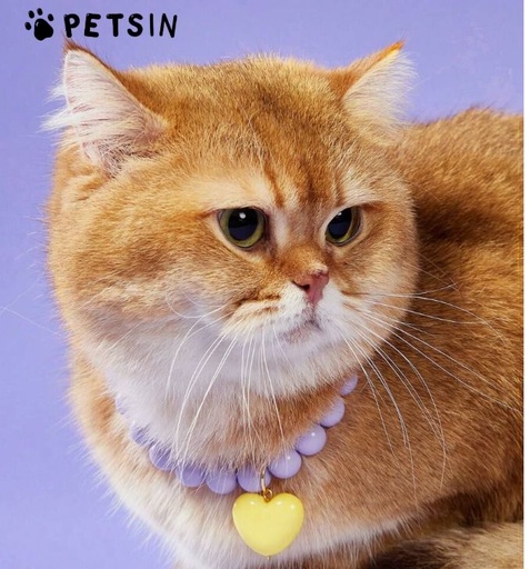 [1637] COLLAR CON DIJE DE CORAZON PARA MASCOTAS TALLA L COLOR MORADO