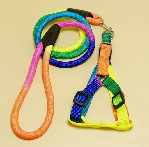 [1647] CORREA Y ARNES PARA MASCOTAS MULTICOLOR TALLAS VARIAS