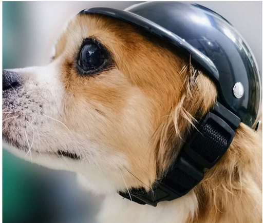 [1674] CASCO AJUSTABLE PARA MASCOTAS TALLA S