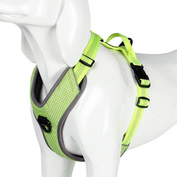[1689] ARNES REFLECTANTE PARA PERROS MULTIPLES TAMAÑOS COLOR VERDE           