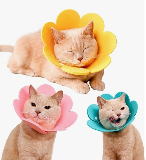 [1753] COLLAR PROTECTOR PARA MASCOTAS DESPUES DE LA ESTERILIZACION EN FORMA DE FLOR
