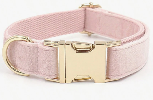 [2002] COLLAR PARA MACOTAS DE TERCIOPELO COLOR ROSA TALLAS VARIAS